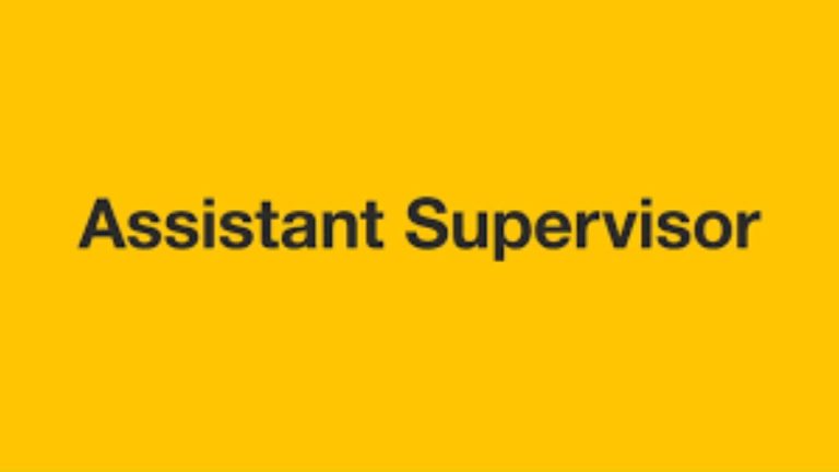 Assistant Supervisor Work from home job
