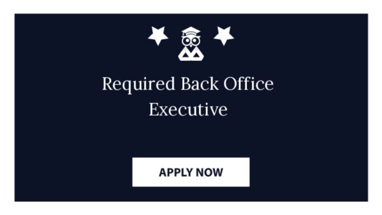 Backend Executive Work from home job