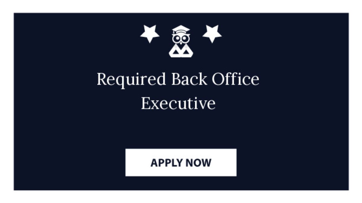 Backend Executive Work from home job
