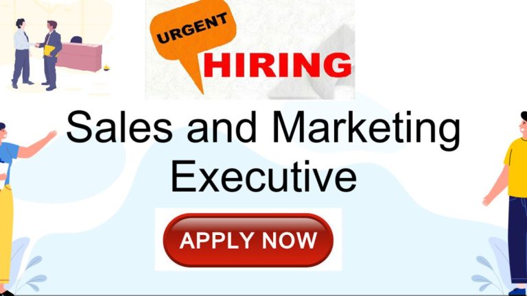 Sales & Marketing Executive Work from home job