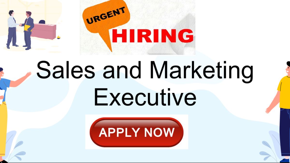 Sales & Marketing Executive Work from home job