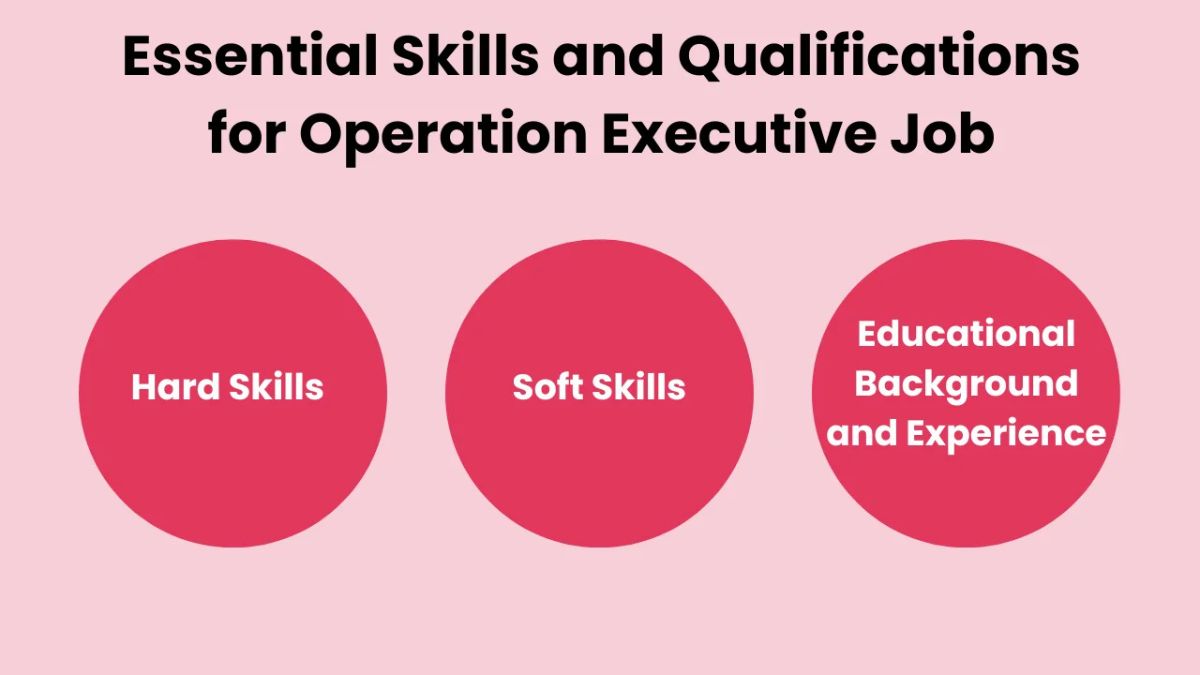 Support & Operations Executive work from home job